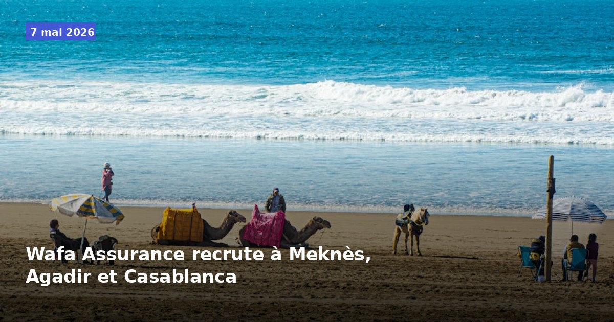 Wafa Assurance recrute à Meknès, Agadir et Casablanca