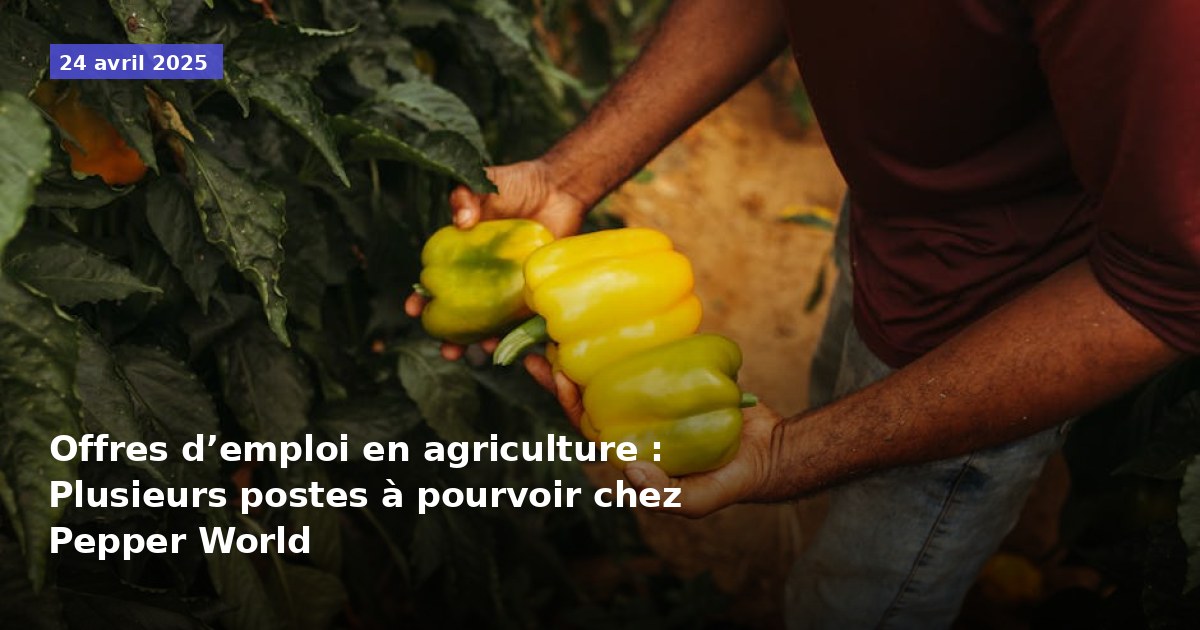 Offres d’emploi en agriculture : Plusieurs postes à pourvoir chez Pepper World